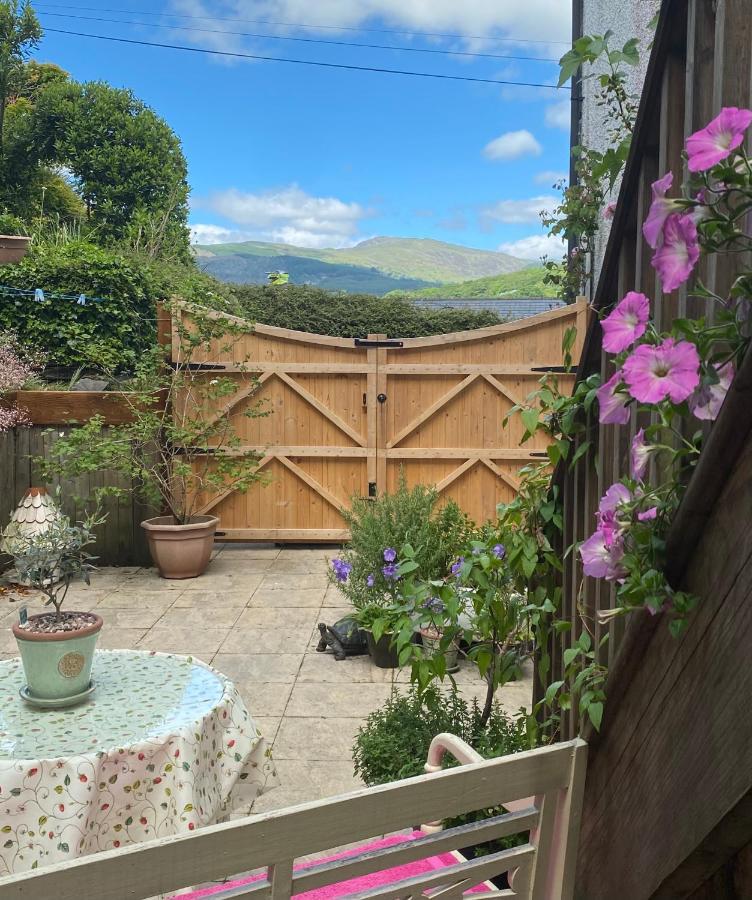 Snowdonia Snug - Studio Style Accommodation ドルゲラウ エクステリア 写真