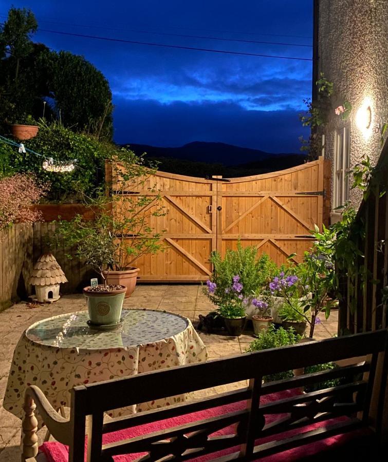 Snowdonia Snug - Studio Style Accommodation ドルゲラウ エクステリア 写真