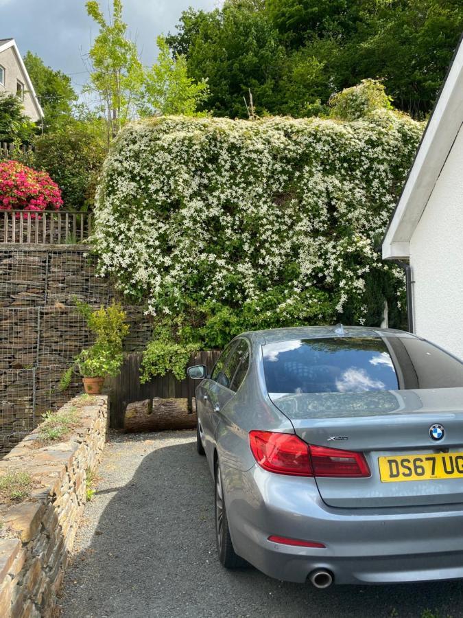 Snowdonia Snug - Studio Style Accommodation ドルゲラウ エクステリア 写真