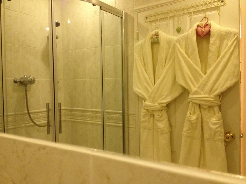 Snowdonia Snug - Studio Style Accommodation ドルゲラウ エクステリア 写真