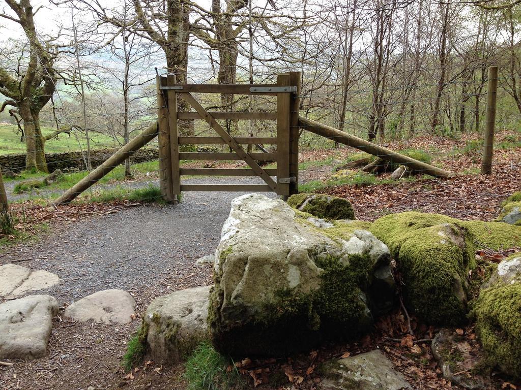 Snowdonia Snug - Studio Style Accommodation ドルゲラウ エクステリア 写真