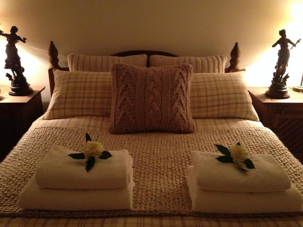 Snowdonia Snug - Studio Style Accommodation ドルゲラウ エクステリア 写真