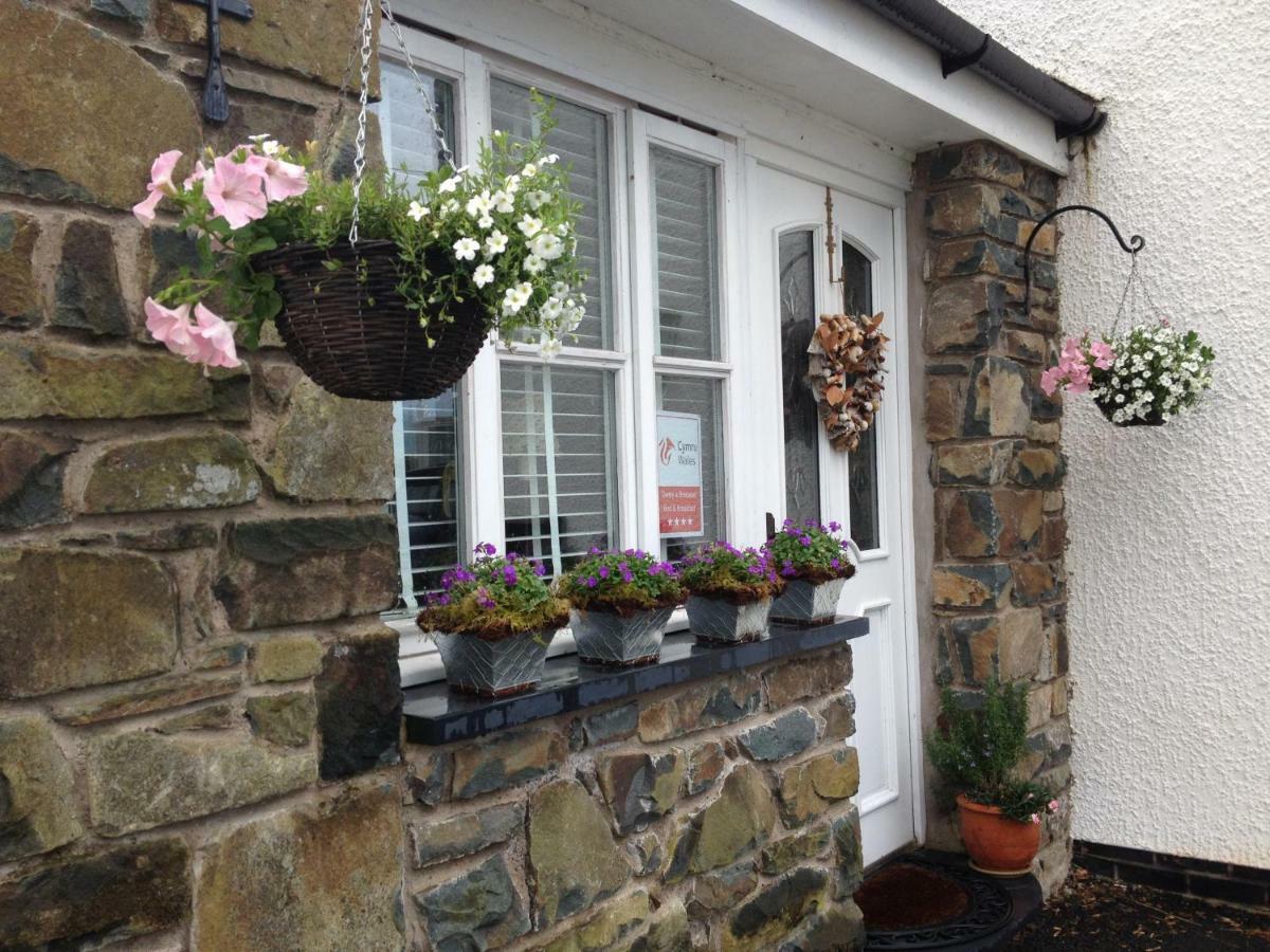 Snowdonia Snug - Studio Style Accommodation ドルゲラウ エクステリア 写真