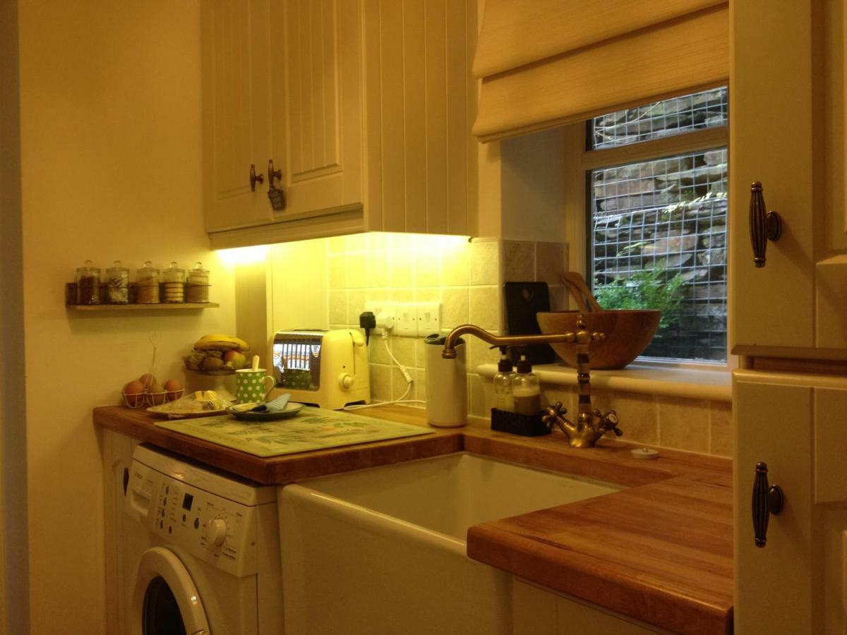 Snowdonia Snug - Studio Style Accommodation ドルゲラウ エクステリア 写真